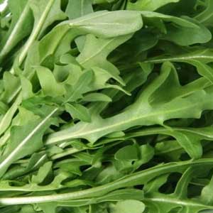 Arugula