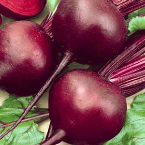 Beets