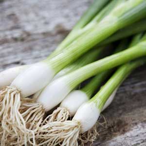 Green Onions