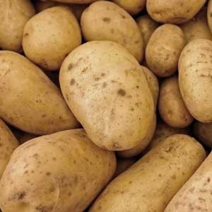 Potatoes