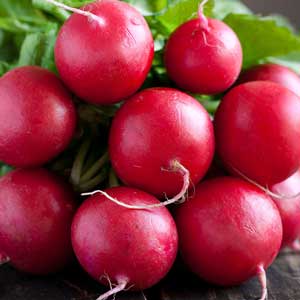 Radishes